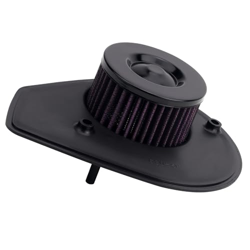 Filtre à air pour Harley Street 750 pour éliminer les impuretés du moteur