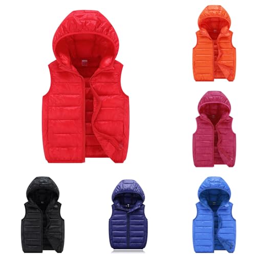 Toddler Kids Hooded Jacket Coat with Ears Zipper Lightweight Long Sleeve Thick Warm Outerwear