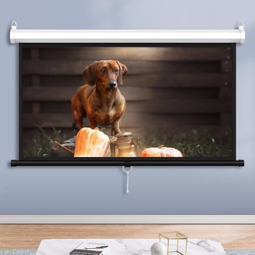 Pantalla de proyección manual 60" 16:9 con auto-bloqueo miniatura 1