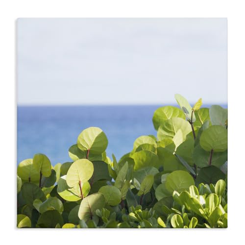 Stupell Industries Coastal Greenery Beach, 24 x 24 Inch Canvas Wall Art