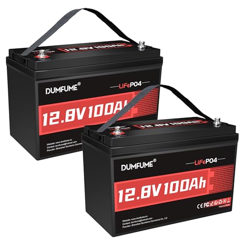 Image of 2 Packs 12V 100Ah LiFePO4 Lithium Battery, Built in 100A BMS, 1280W Power Output, Up To 6000+ Cycles, Ideal For RV, Solar Off-Grid Systems, Home Energy Storage