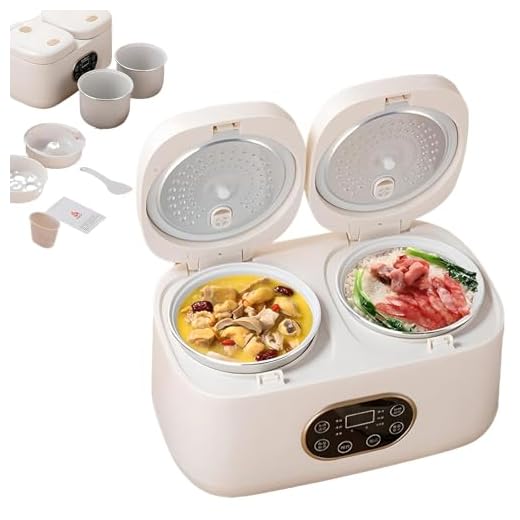 Cuociriso Elettrico Professionale Piccolo 2L+2L, Cuociriso a Doppia Camera, Controllo Indipendente a Doppia Pentola, Coperchio Rimovibile, Prenotazione Intelligente 24 Ore Su 24, Con Touch Screen Inte