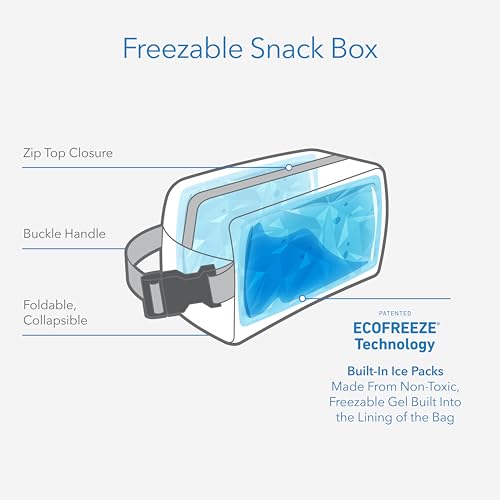 Image of PackIt Freezable Snack Box, Sea Shark, Medium (Pack of 12)