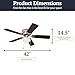 Prominence Home Alvina, 42 Inch Traditional Flush Mount Indoor LED Ceiling Fan with Light, Pull Chain, Dual Finish Blades, Reversible Motor - 80029-01 (Brushed Nickel)