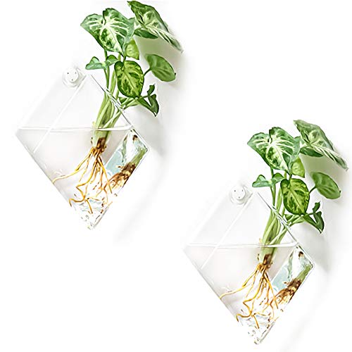 Kingbuy Wall Planter for Indoor Plant Pathos Hydroponic Succulent Hanging Terrarium Glass Vase Air Plant Holder Diamond Home Office Garden Decor, 2 Se