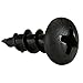 Parts Express #8 x 1/2" Deep Thread Pan Head Screws Black 100 Pcs.- 2 Pack