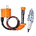 Ignition Coil & Spark Plug Compatible with Suzuki LTZ400 LT Z400 Quadsport Z400 2003-2009 2012 2013 33410-09F00
