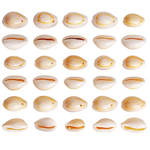 Aiex 30 Pezzi Spirale Naturale Perle Di Conchiglia Conchiglie Cowrie Shell Charms Perline Con Fori Per Gioielli Fai Da Te Fabbricazione