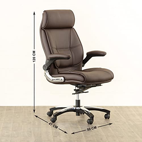 Image of Home Centre | Aubrey | Upholstery | Study and Office Chairs | Brown | 1 Year Warranty