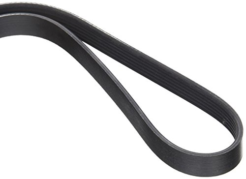 Dayco 6Pk915 Cinghia Poly-V Com.Alter.Ford Fiesta