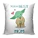 Northwest Star Wars Pillow, 18