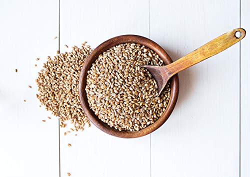 Organic Wheat Berries, 1 Pound – Non-Gmo, Kosher, Raw, Sproutable, Vegan, Sodium And Sugar Free #TOP3