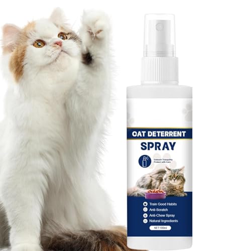 ƋveN^[LbgXv[AƋp̔LXv[ | 100mlLp̃XNb`ƋXv[Ȃ | hAt[AxbhA\t@̂߂̉AOgp