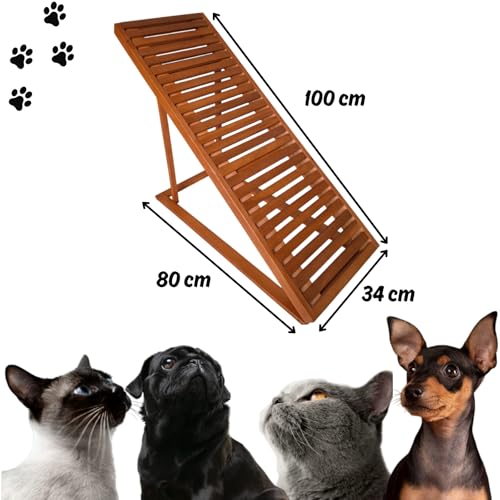 Tudo Jardim, Rampa Pet Antiderrapante Regulavel Ajustavel Gato Cachorro G