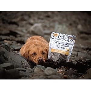 Proden PlaqueOff Sytem Mini Dental Care Bones – Peanut Butter Banana – 12 oz, Brown