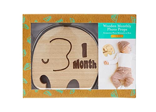 Image of Kate & Milo Wooden Milestone Props, Baby Monthly Photo Discs, Newborn Keepsake Photos, New and Expecting Parents Gift, Elephant
