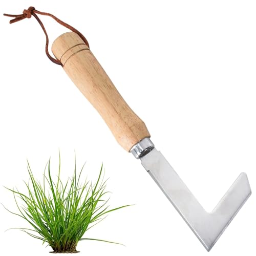 Fugenkratzer, Unkrautkratzer mit Holzgriff, Fugenreiniger Unkrautkratzer, Unkrautkratzer aus Edelstahl, Unkraut Messer zum Entfernen von Moos und Unkraut, Gartenwerkzeug Fugenkratzer, Unkrautkratzer mit Holzgriff, Fugenreiniger Unkrautkratzer, Unkrautkratzer aus Edelstahl, Unkraut Messer zum Entfernen von Moos und Unkraut, Gartenwerkzeug