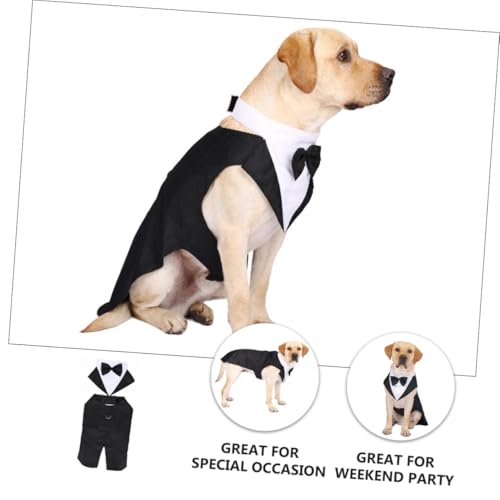 Disfraz Formal para Perro Talla M con Pajarita miniatura 7