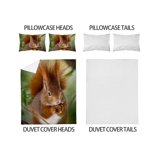 Housse de couette écureuil microfibre infroissable lit 220x240 - 4