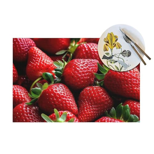 Set de table en vinyle de qualité supérieure lavable 30x45 cm pour salle à manger