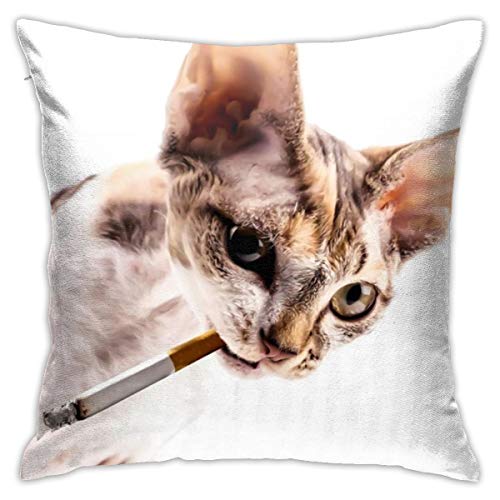 Sonixrmarket Fashion Decorative Pillow Case, Winter Home Decor Cushion Case, Kitten of The