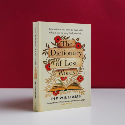 Image of The Dictionary of Lost Words