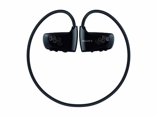 Sony Nwzw262 2 Gb Walkman Mp3 Player (Black) (Discontinued By Manufacturer) #TOP1