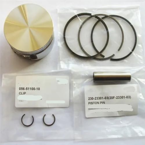 Kit piston 51mm pour réparer une pilonneuse avec moteur EH09 en panne