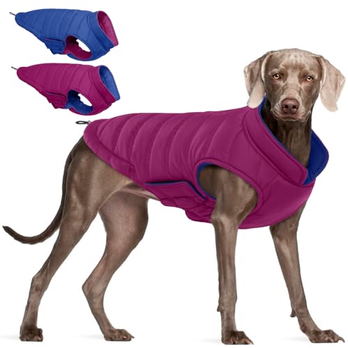 QBLEEV Reversible Dog Winter Coat