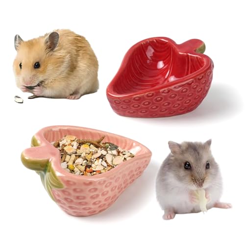 Zaposcca 2 Zbg nX^[ M C`S^H  pH M fO[p a t[h{E 肵ē|ɂ 芴 ѓ 􂢂₷ bg KisNFf{ԐFfj