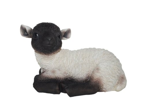 Vivid Arts Size-D Resina Seduta Agnello Ornamento