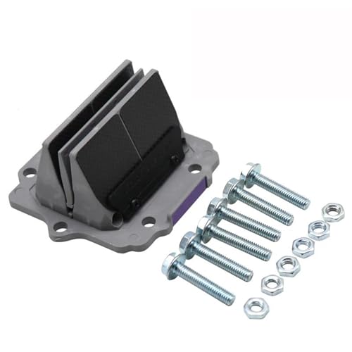 Valve à lames en carbone KX250 KX125 KDX125 moto 2T