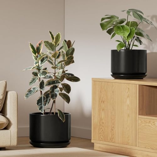 LE TAUCI Ceramic Pots for Plants, Set of 2, 10