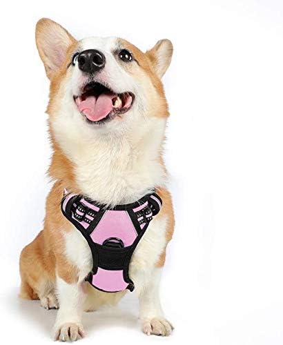 rabbitgoo Dog Harness Medium No Pull Pet Harness with 2 Leash Clips, Adjustable Soft Padded Pet Vest