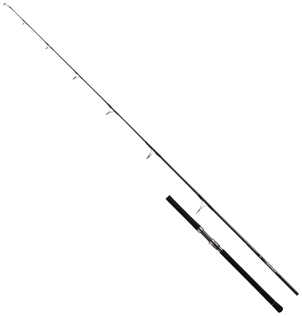 ダイワ　ソルティガ　エアポータブル　AP C80-8 DAIWA SALTIGA Amazon | ダイワ(DAIWA) ソルティガ エアポータブル C84-4 | Daiwa