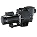 Doheny's Harris 1 HP Inground Pool Pump 115/230V ((0.9 THP))