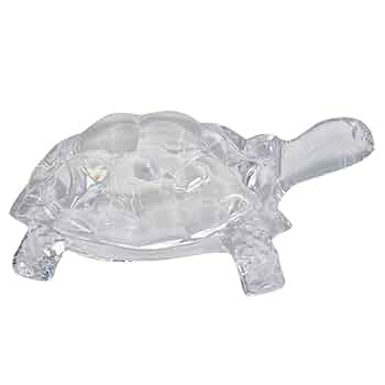 亀　 置物 71wCLD3xf7L._UF350,350_QL50_.jpg