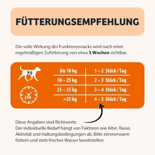 BugBell 60g Knabbersticks Karotte – vegane Hundesnacks fettarm – Ansicht 5