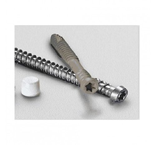 Starborn Pro Plug No. 10 x 2 in. L Star Trim Head Epoxy Coated Carbon Steel Deck Screws and Plugs Kit