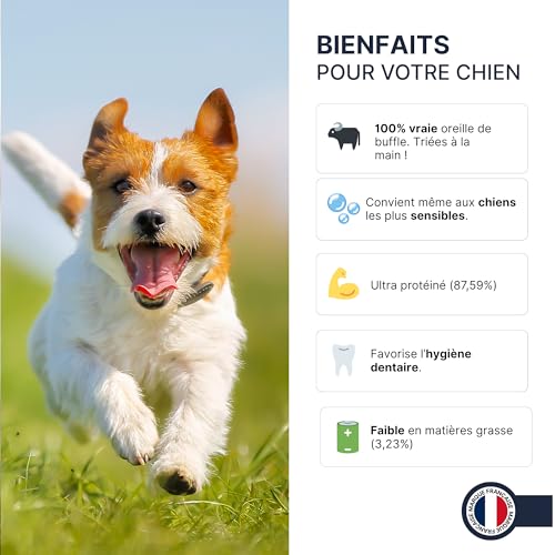 XXL Büffelohren für Hunde – 100 % natürlich, reich an Protein (87,59 %), fettarm – langanhaltender Kaugenuss – Premium-Qualität – ohne Zusatzstoffe (1 x 400 g)