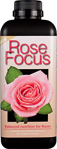 2 x Rose Focus Unique Liquid Concentrated Fertiliser 1 Litre
