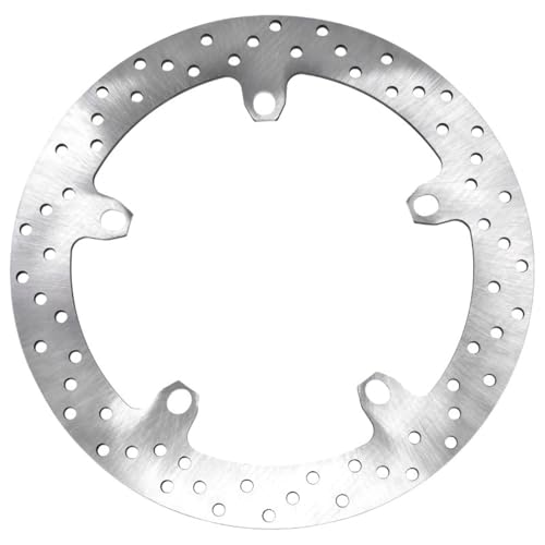 Disques de frein avant pour moto R1150R résout les vibrations au freinage R22