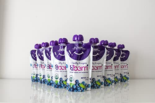 Bberri 100% Organic Blueberry Pouches (Pack Of 16) #TOP6