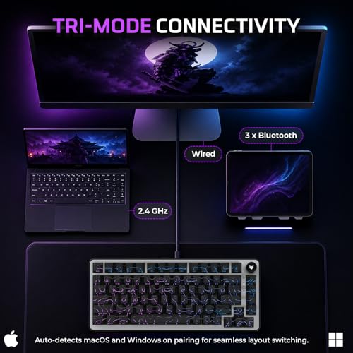 Image of EvoFox Ronin X75 Plus Tri-Mode Gaming Wireless Mechanical Keyboard, Gasket Mount, 5 Layer Sound Dampening, South Facing LED, Pass-Through Keycaps, 8000 mAh Battery, Hot Swap, Multi OS Web Software