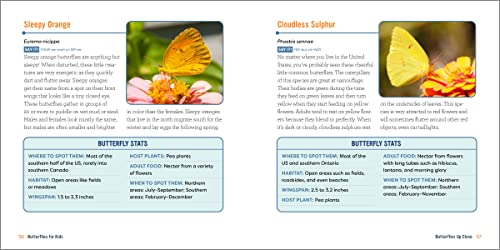 Butterflies for Kids: A Junior Scientist's Guide to the Butterfly Life Cycle and Beautiful Species