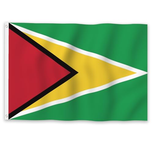 Drapeau de la Guyane résistant au vent avec 2 oeillets pour extérieur - 2
