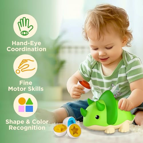 iPlay, iLearn Toddler Dinosaur Matching Egg Toy, Shape Sorter Match Game, Fine Motor Sensory Development Montessori Learning Toy, Birthday Stocking Gift 18 24 Month Infant 2 3 4 Year Old Kids Boy Girl by iPlay, iLearn - Image 6