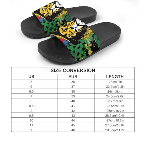 Jamaica Lion U.S. Flag House Sandals Non-Slip Bathroom Slippers Beach Summer Shoes for Men Women2