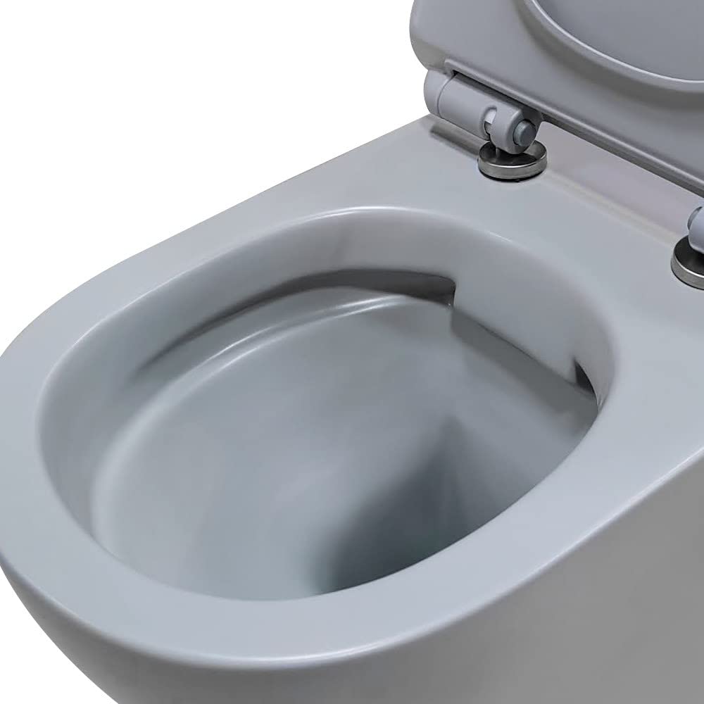Inodoro suspendido - Cerámica - Sin bridas -Gris mate - Soft-close - Tapa extra fina - Diseño elegante y moderno
