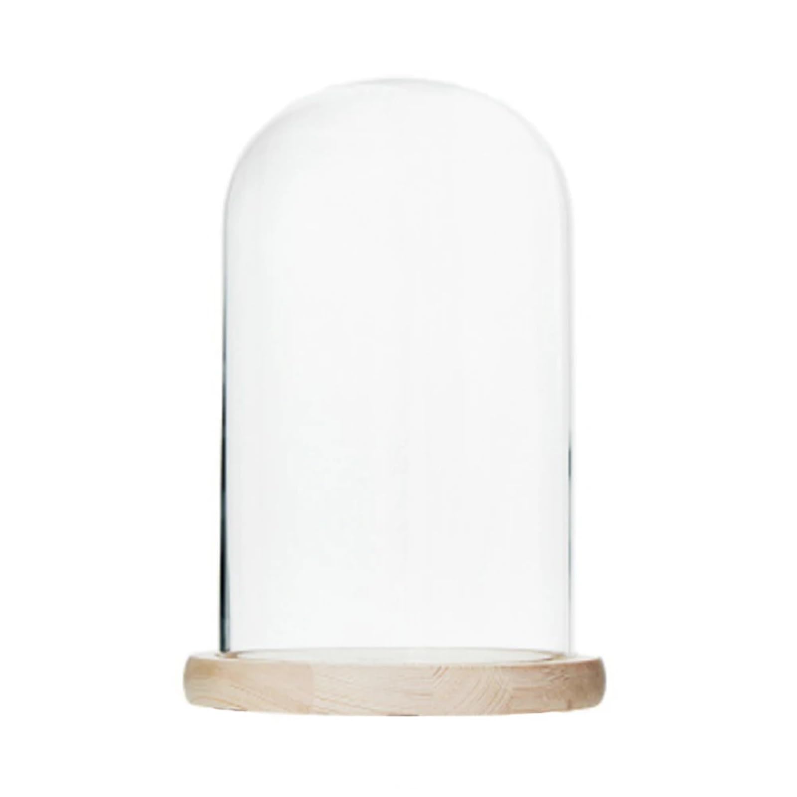 Cloche en verre pour plantes multicolores et artisanat sur socle